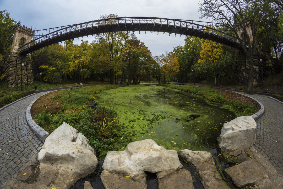 Parcul „Nicolae Romanescu” și Grădina Botanică, din nou sub pașii vizitatorilor. Să ne amintim de ce le iubim atât de mult