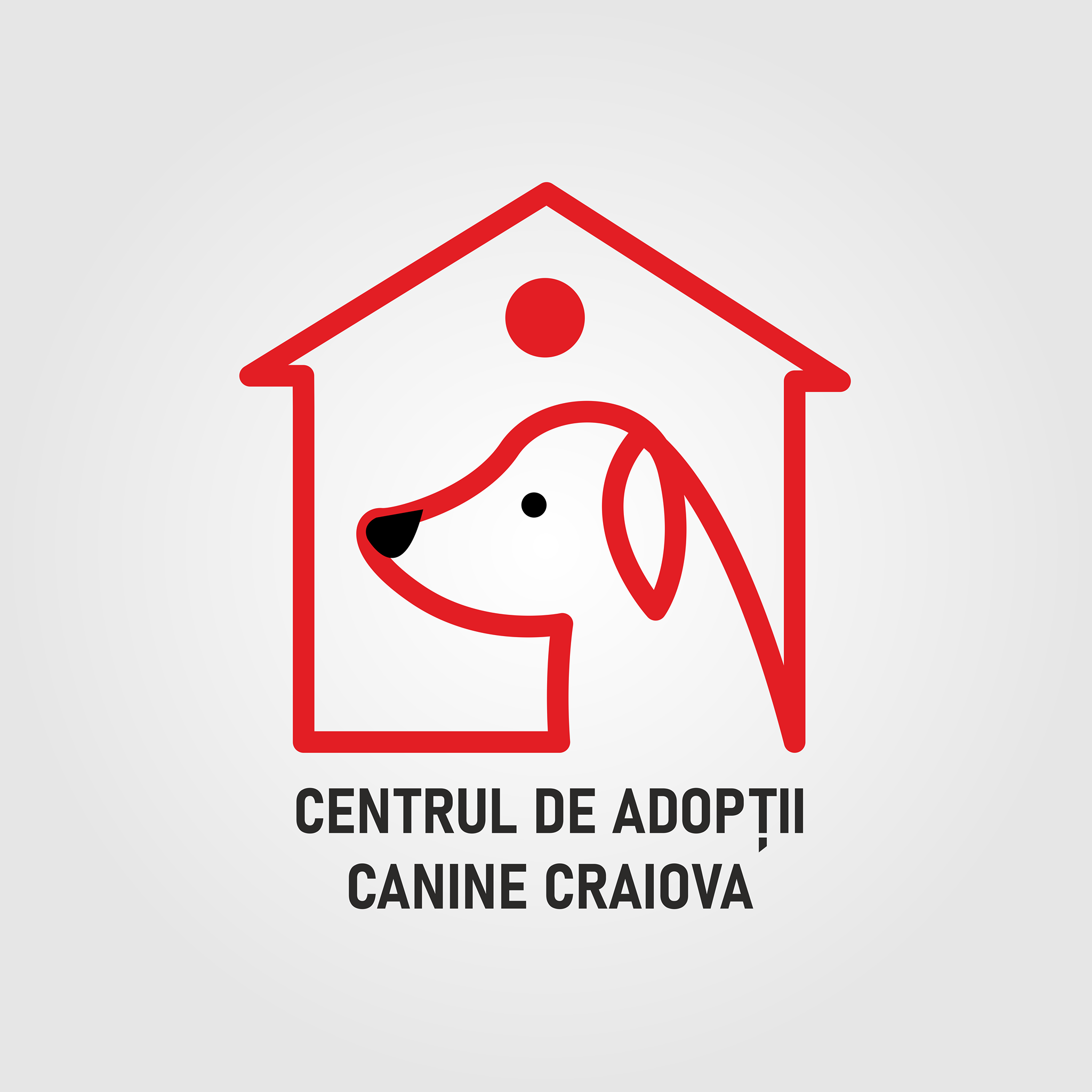 #CraiovaAdoptăFericire. Ce surprize pregătesc blănoșii de la Centrul de adopții canine craiovenilor