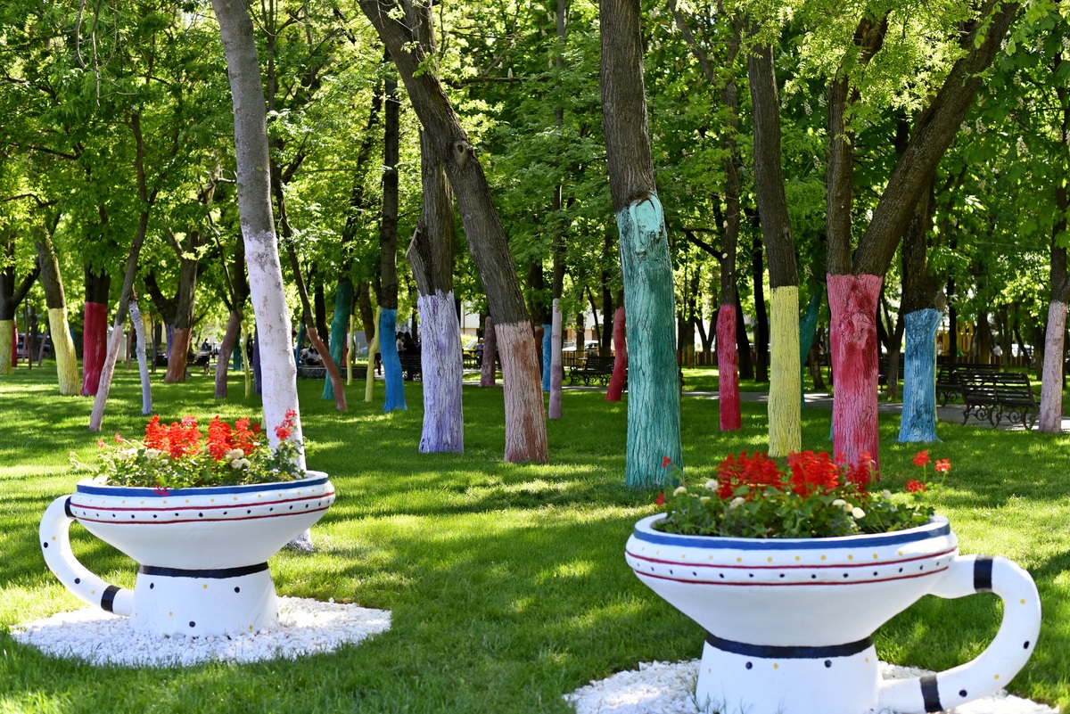 Parcul Pușkin - Crizantemelor