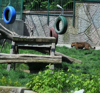 Craiova Zoo